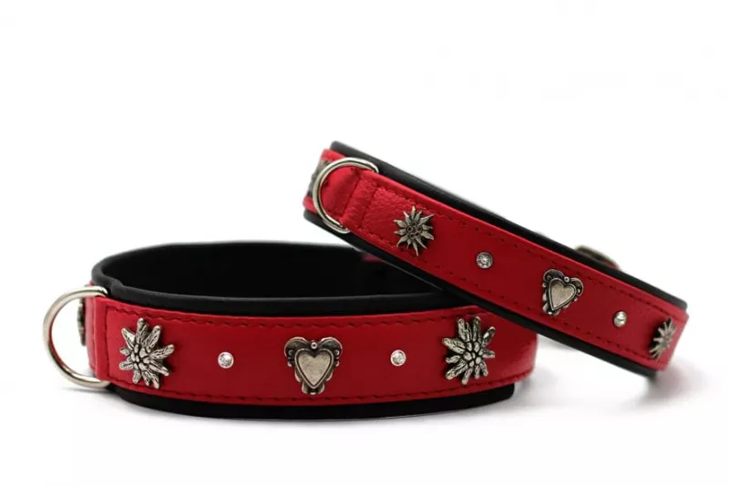 Maul Halsband Herzilein 35cm / 24mm